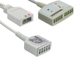 Trunk Cables